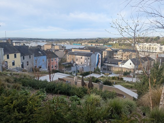 Looking down the landscaped hill at New Ross. Apparently a notable building and gardens stood here, until it burned down relatively recently. 
They've done a good job creating a new public space to replace it. 